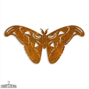 Zawieszalnia – 3D wanddecoratie Vlinder Atlas Pauwoog L 50 cm Corten staal