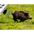 Wildafweer voor wilde zwijnen, vossen, reeën VIANO (OZ1) PV-400-46 (12)
